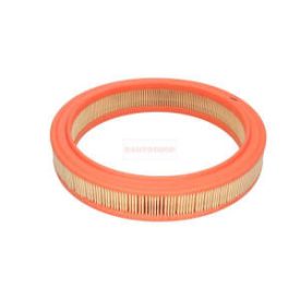 Levegőszűrő Ford (TECNECO FILTERS)