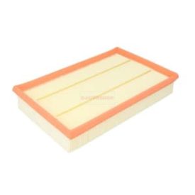 Levegőszűrő Ford (FILTRON)